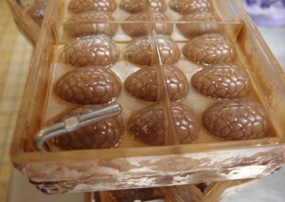 Policarbonaat eitjes mallen bonbon atelier westerbeek den haag